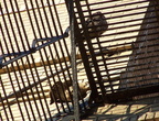 uptown falcons 2004-06-12 02e