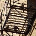 uptown falcons 2004-06-12 16e