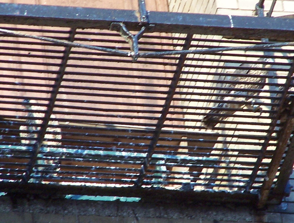 uptown falcons 2004-06-12 29e.jpg