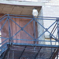 uptown falcons 2005-05-27 6e
