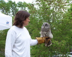 owl 2005-05-18 01e
