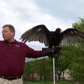 vulture 2005-05-18 02e