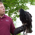 vulture 2005-05-18 14e