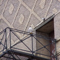 uptown falcons 2005-03-20 02e