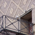 uptown falcons 2005-03-20 07e