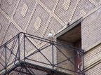uptown falcons 2005-03-20 07e
