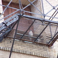 uptown falcons 2005-03-20 14e