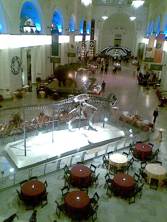 field museum 2007-12-07 2e.jpg