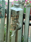 squirrel 2009-08-28 3e