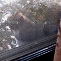 squirrel 2004-12-19 3e.jpg