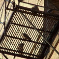 uptown falcons 2004-06-12 14e1