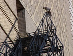 uptown falcons 2004-06-13 71e1