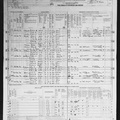 1950 Census - Romeo J Parenti
