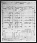 1950 Census - Amelia K (Kuhne) DiLauro