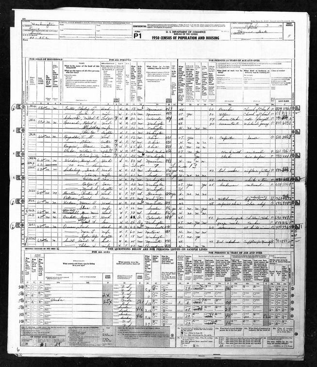 1950 Census - T G (Hiram Thaddeus Grant) Reynolds.jpeg