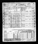 1950 Census - Maude L (Brewer) Phillips