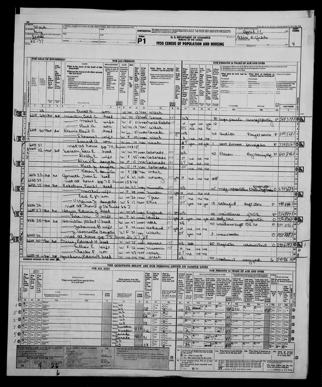 1950 Census - Dolly E (Knox) Larsen
