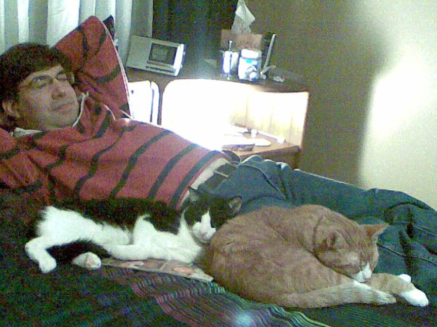 cats 2009-01-03 1e